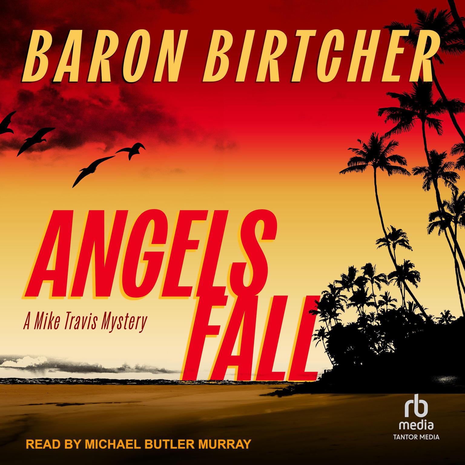 Angels Fall Audiobook, by Baron Birtcher