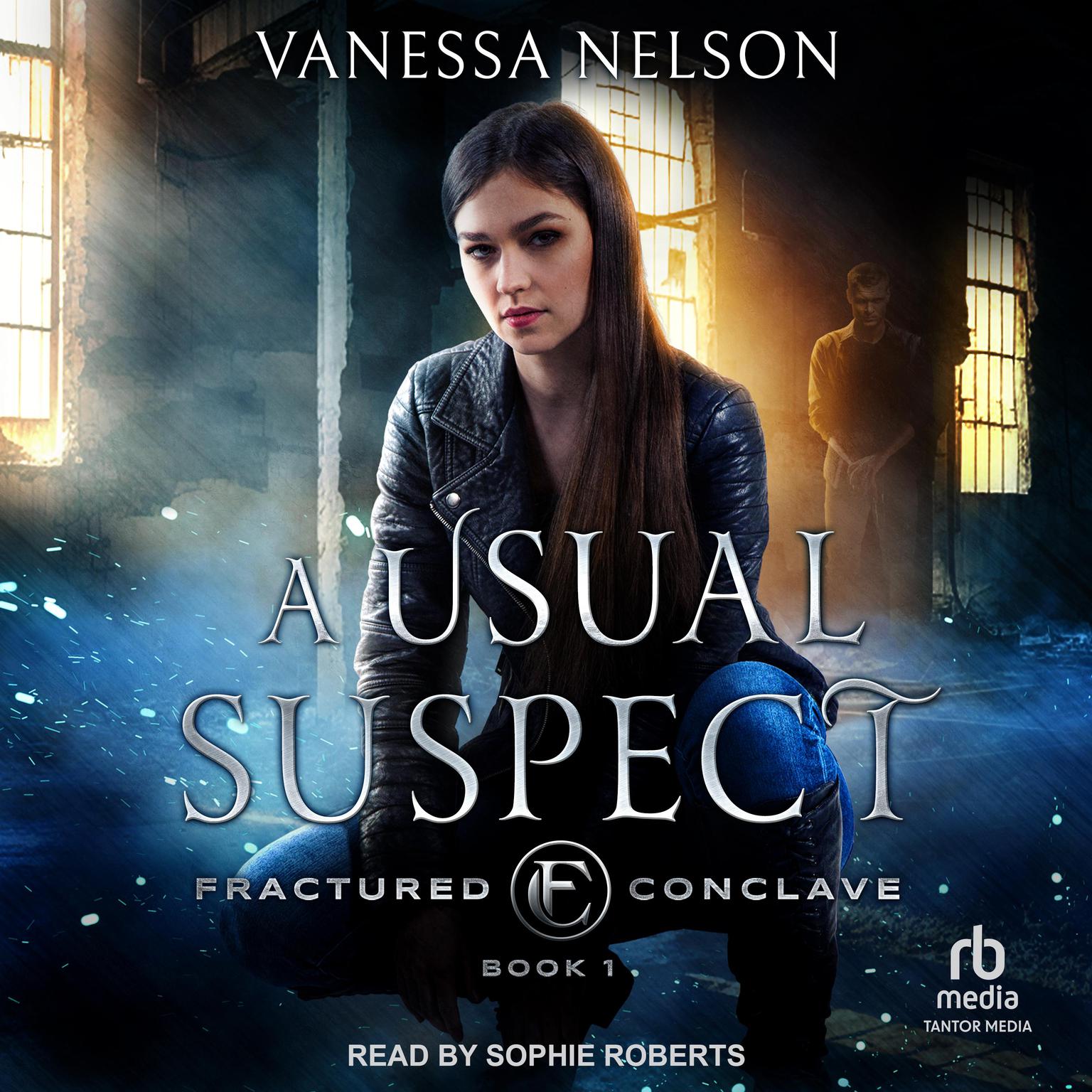 A Usual Suspect Audiobook, by Vanessa Nelson