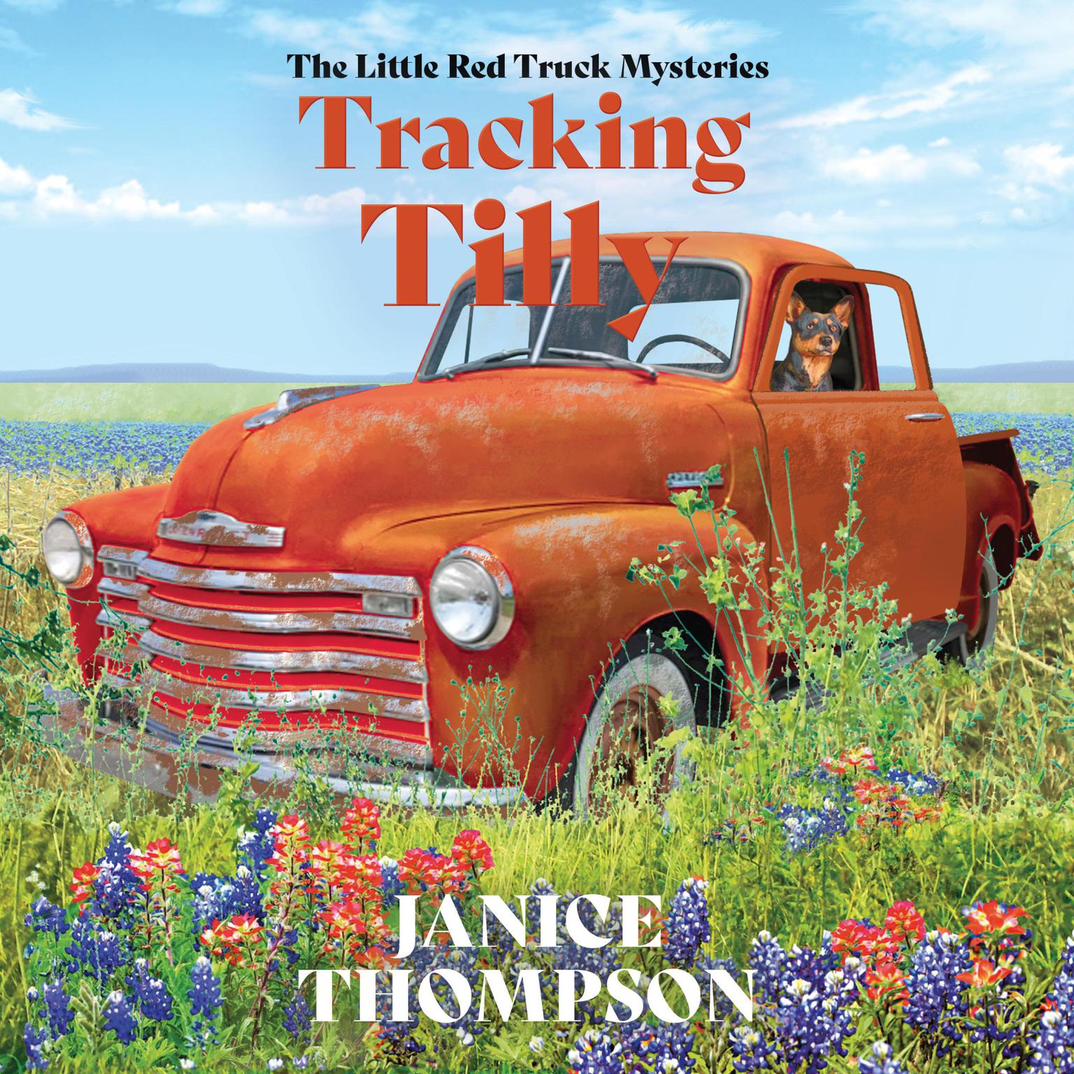 Tracking Tilly Audiobook, by Janice Thompson