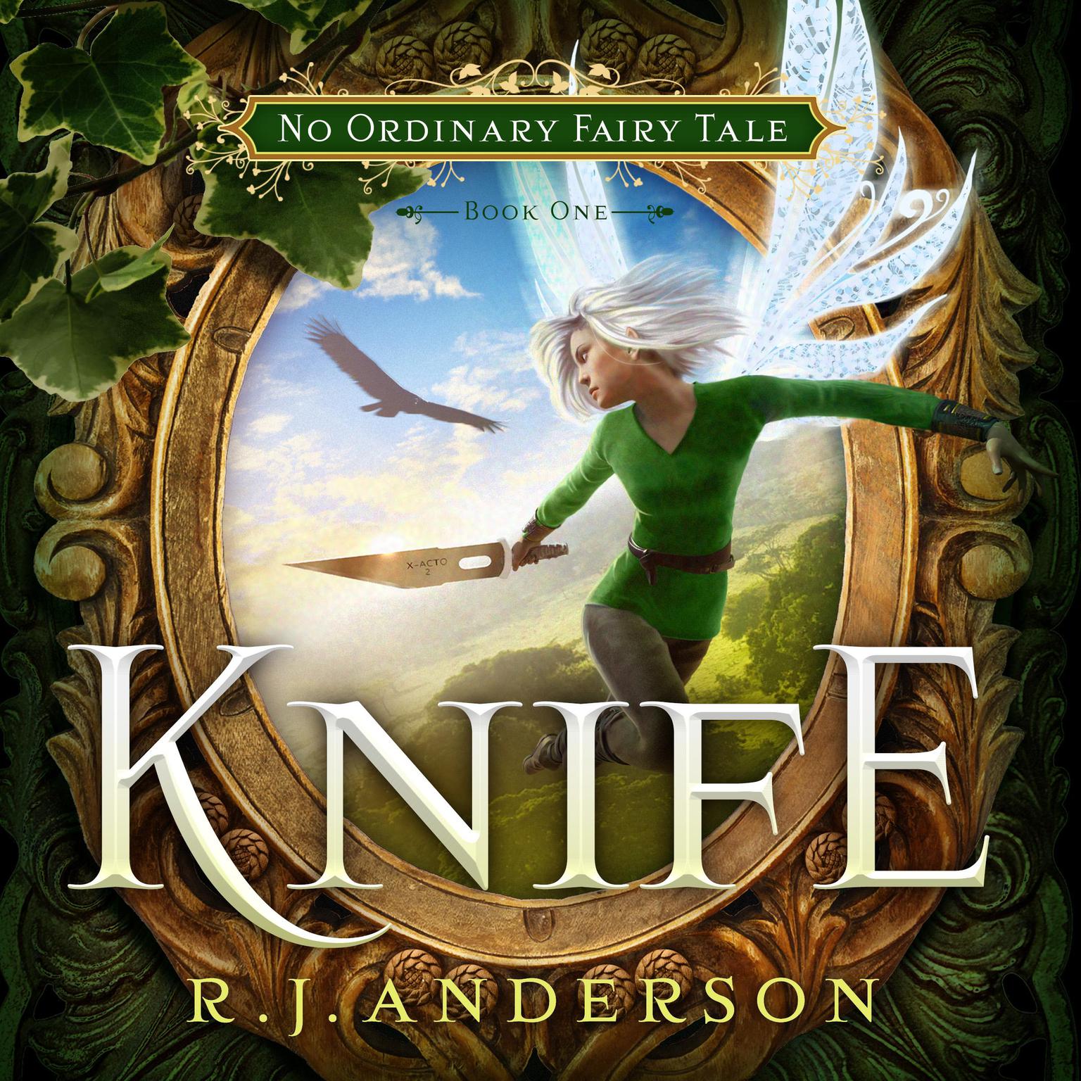 Knife Audiobook, by R. J. Anderson