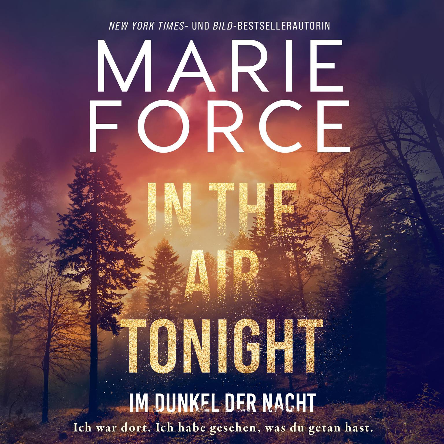 In the Air tonight – Im Dunkel der Nacht Audiobook, by Marie Force