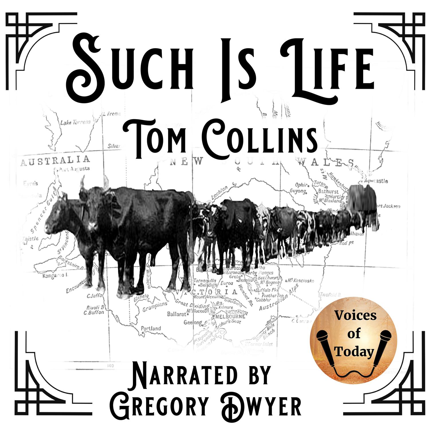 Such Is Life: Being Certain Extracts from the Diary of Tom Collins Audiobook, by Tom Collins