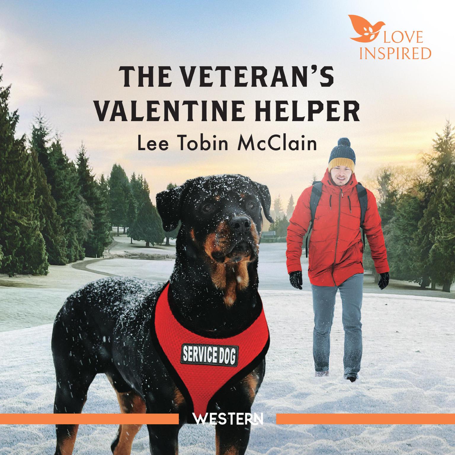 The Veterans Valentine Helper Audiobook, by Lee Tobin McClain