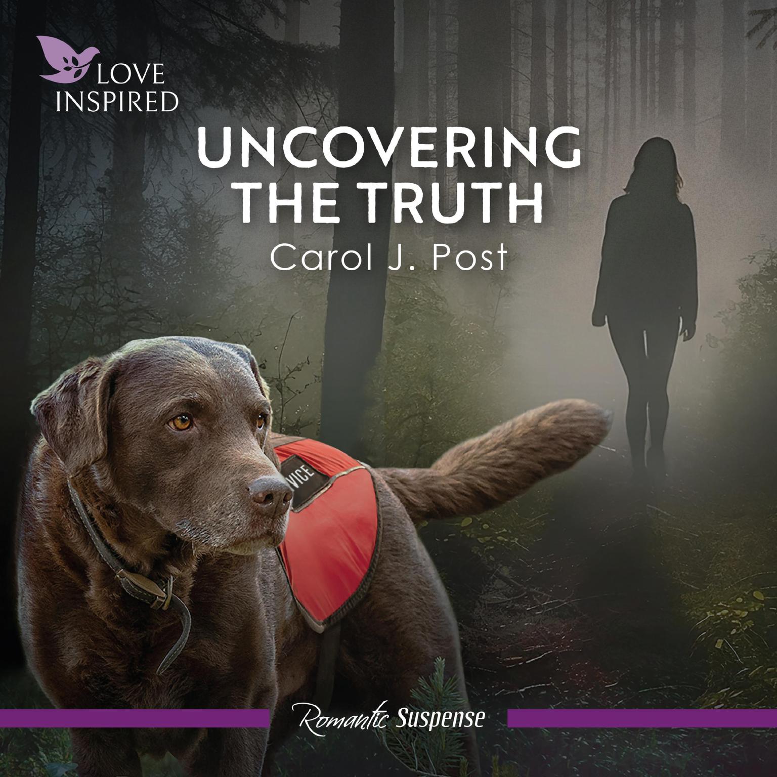 Uncovering The Truth Audiobook, by Carol J. Post