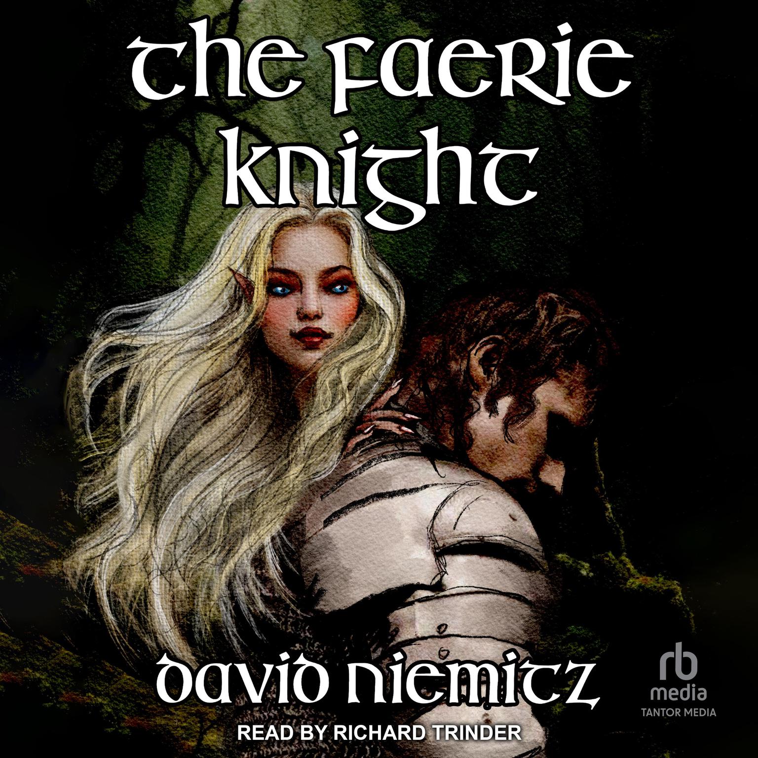 The Faerie Knight Audiobook, by David Niemitz