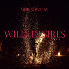 Wild Desires Audibook, by Meir Bowlow