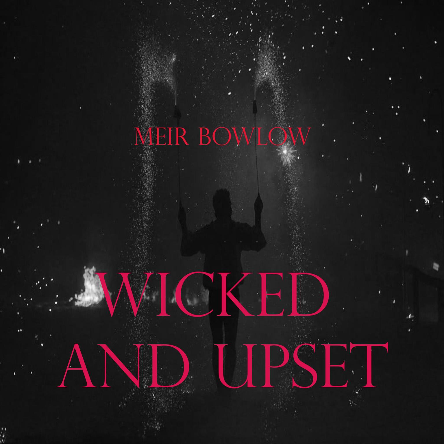 Wicked and Upset Audiobook, by Meir Bowlow