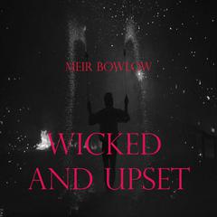 Wicked and Upset Audibook, by Meir Bowlow