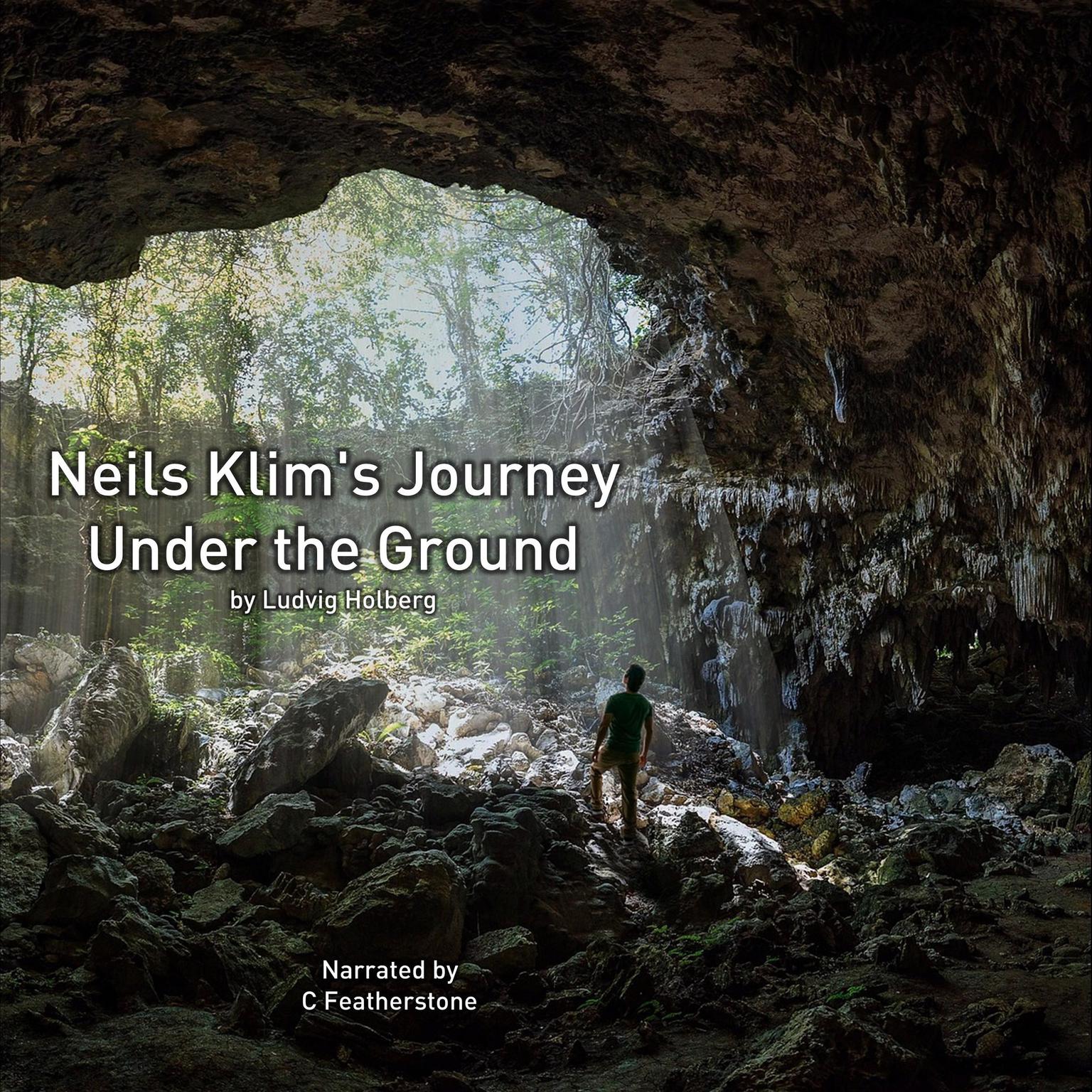 Niels Klims Underground Travels: Being A Narrative Of His Wonderful Descent To The Subterranean Lands; Together With An Account Of The Sensible Animals And Trees Inhabiting The Planet Nazar And The Firmament Audiobook, by Louis Holberg