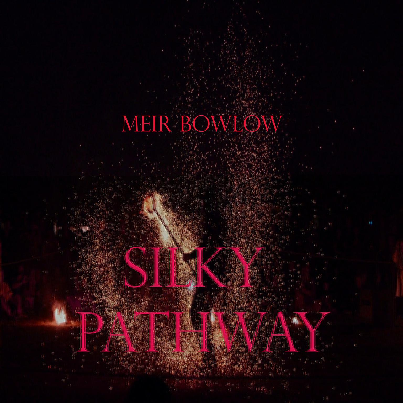 Silky Pathway Audiobook, by Meir Bowlow