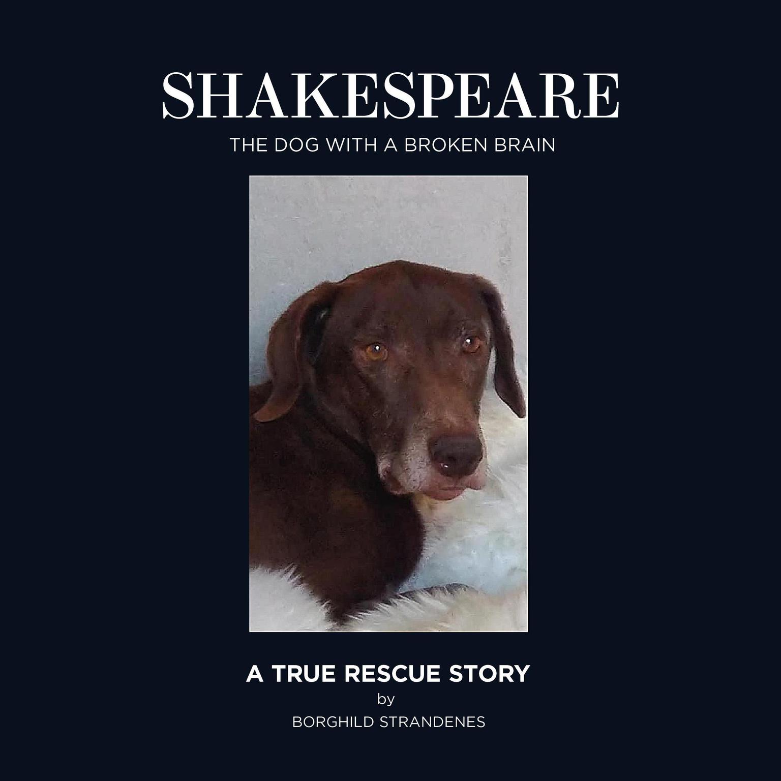 Shakespeare: The dog with a broken brain Audiobook, by Borghild Strandenes