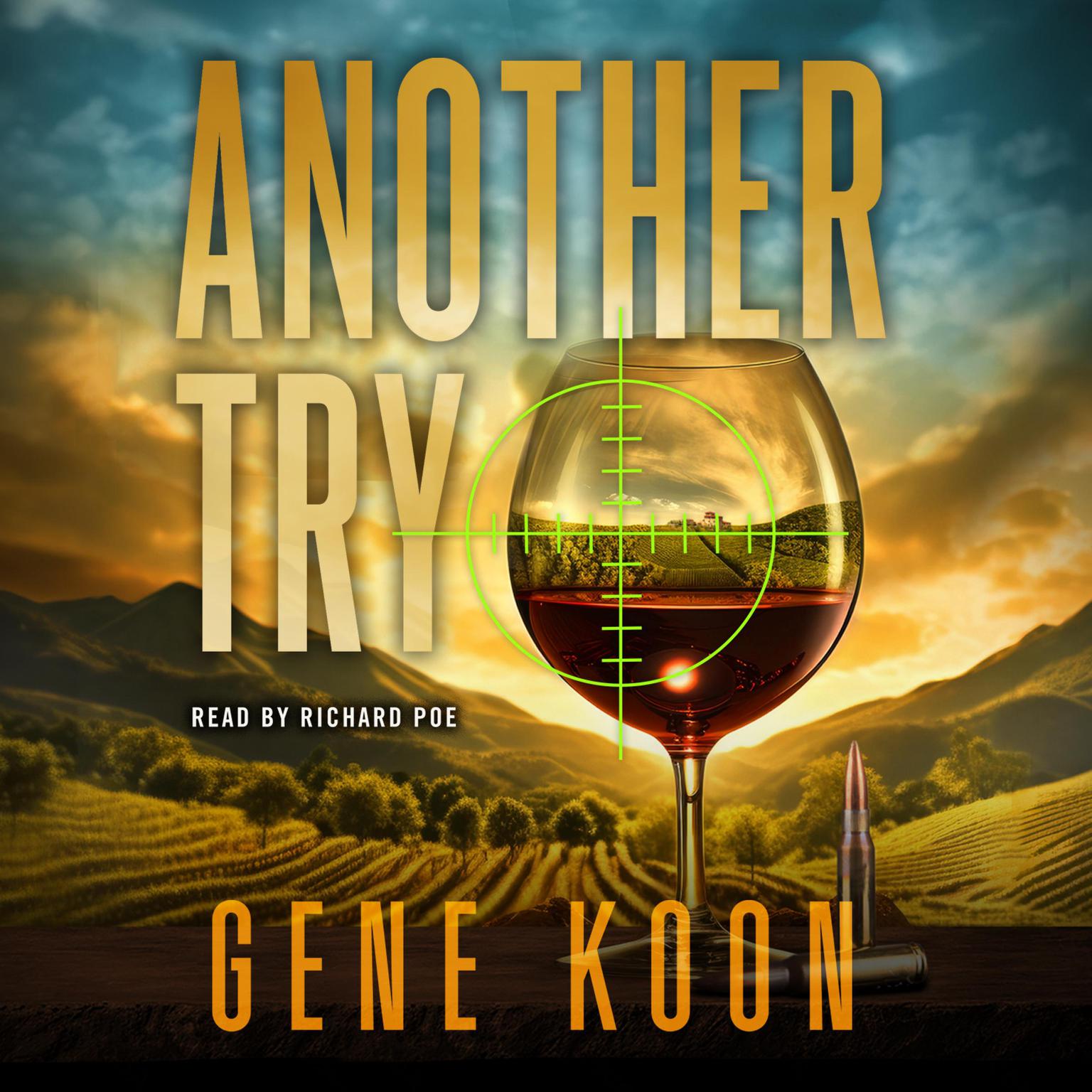 Another Try Audiobook, by Gene Koon