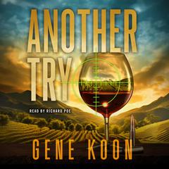 Another Try Audibook, by Gene Koon