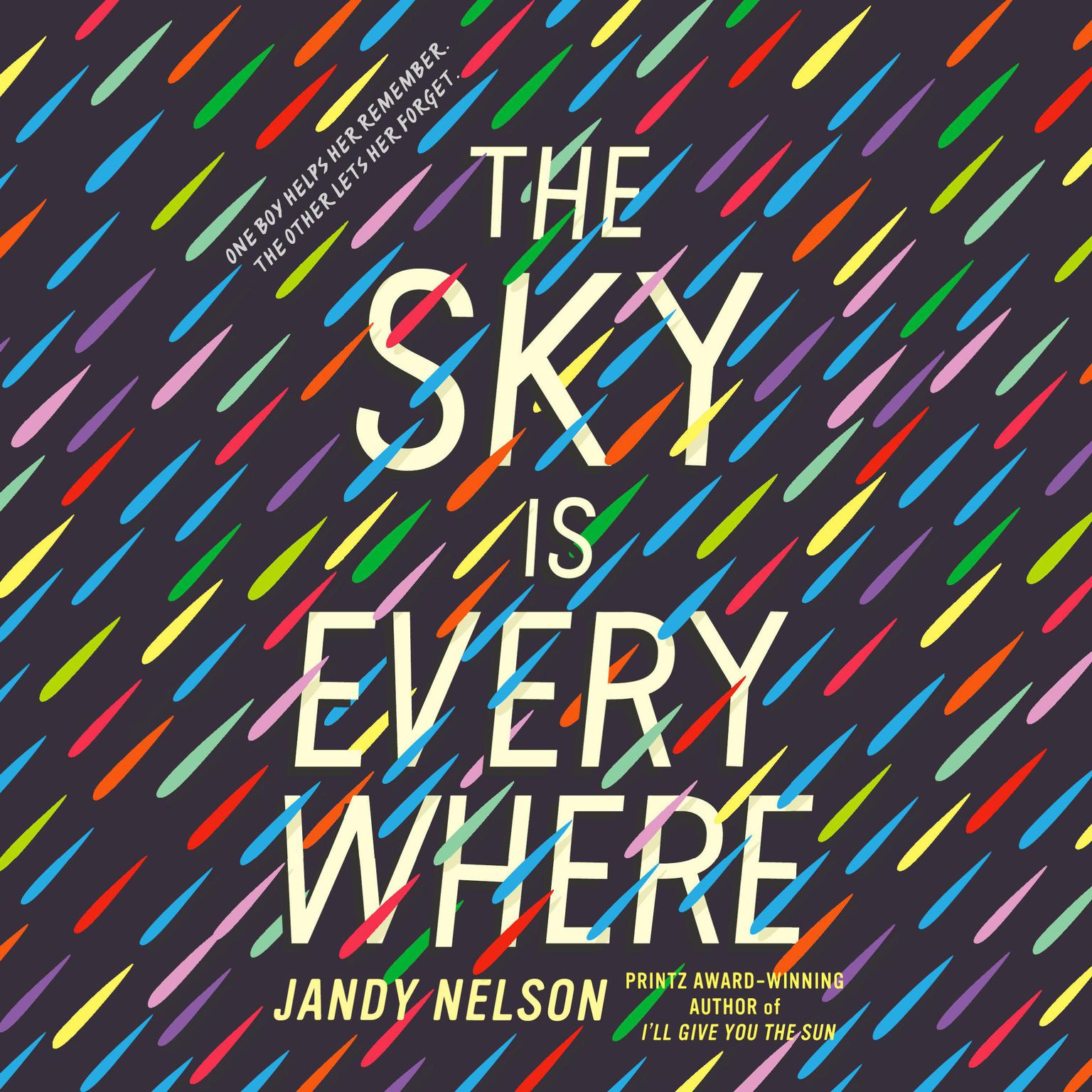 The Sky Is Everywhere Audiobook, by Jandy Nelson