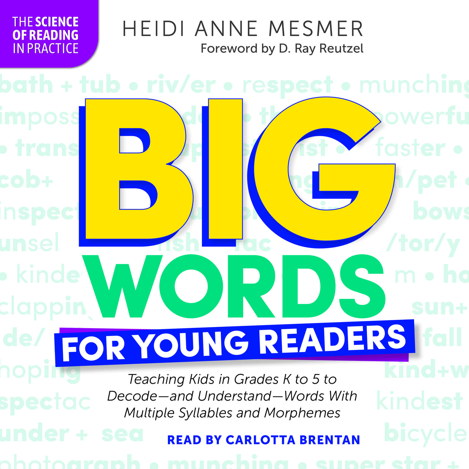 Big Words for Young Readers Audiobook, by Heidi Anne Mesmer