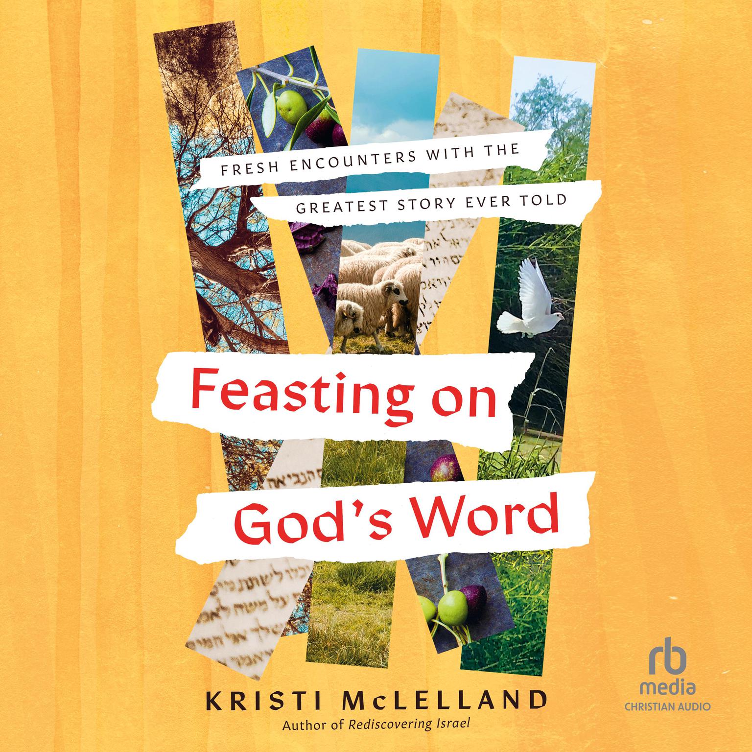 Feasting on Gods Word: Fresh Encounters with the Greatest Story Ever Told Audiobook, by Kristi McLelland