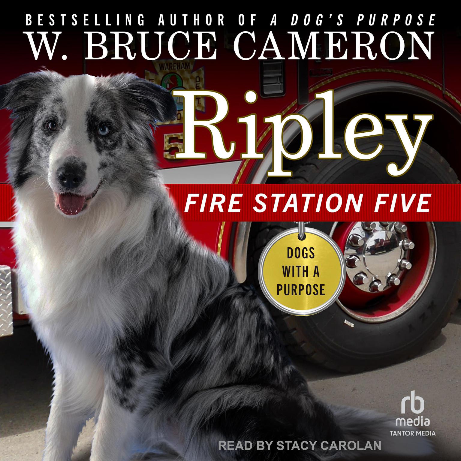 Ripley: Fire Station Five Audiobook, by W. Bruce Cameron