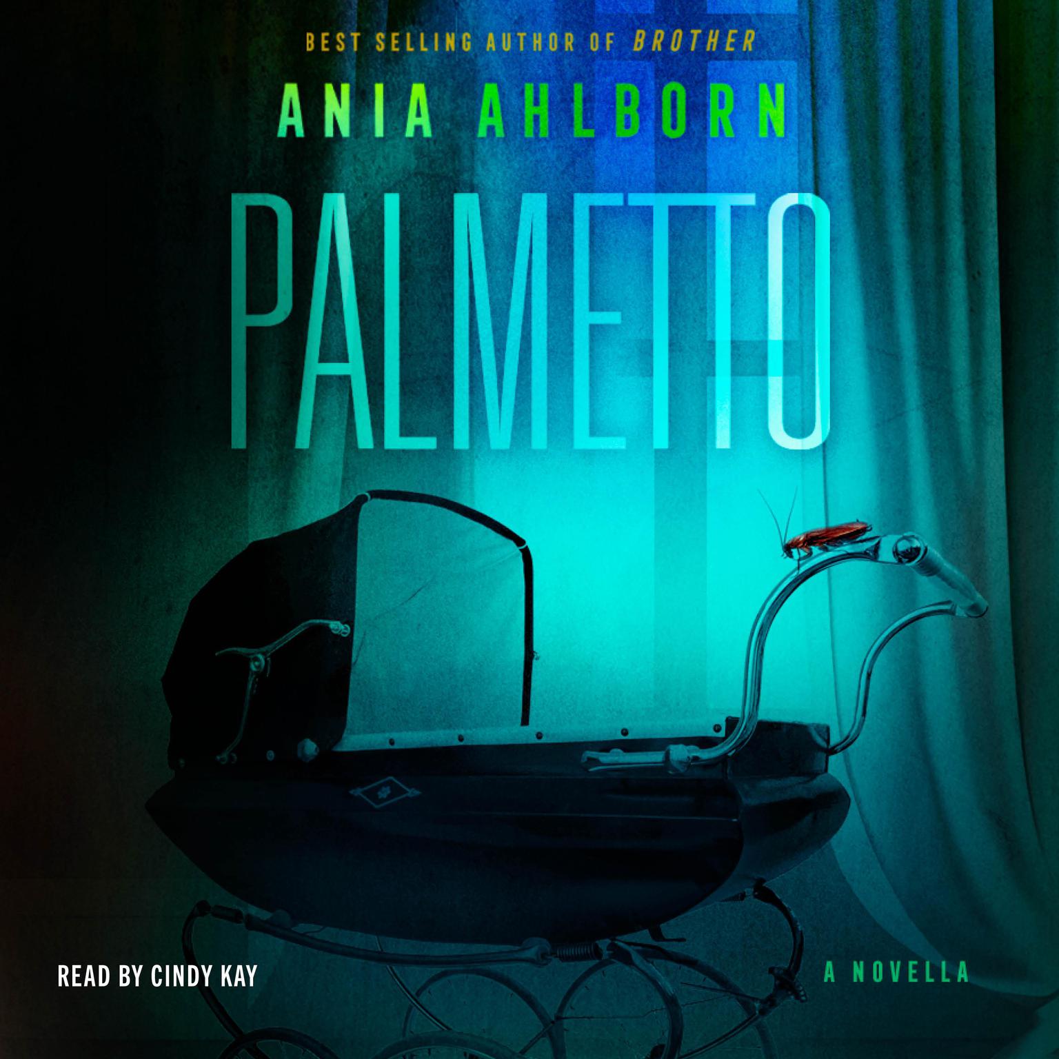 Palmetto: A Novella Audiobook, by Ania Ahlborn