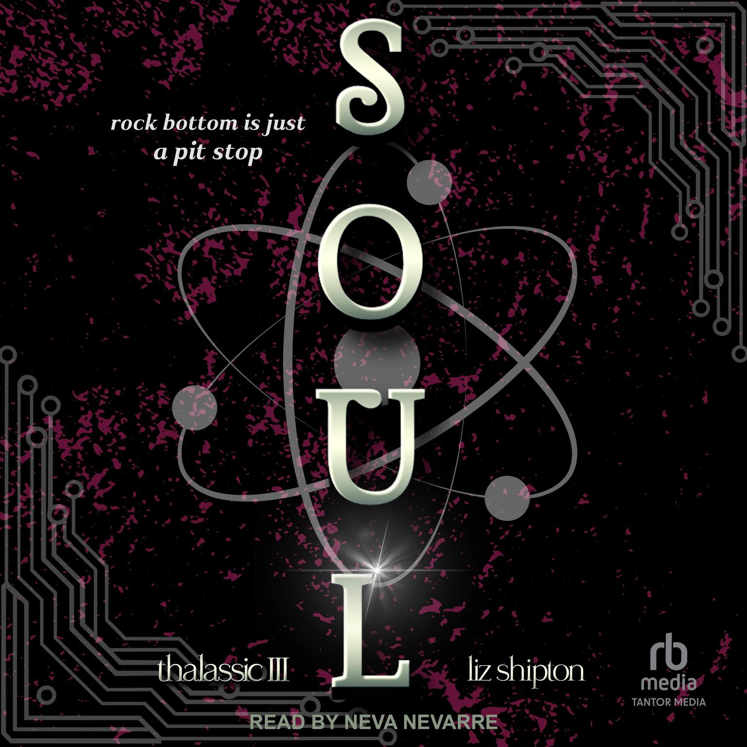 Soul Audiobook, by Liz Shipton