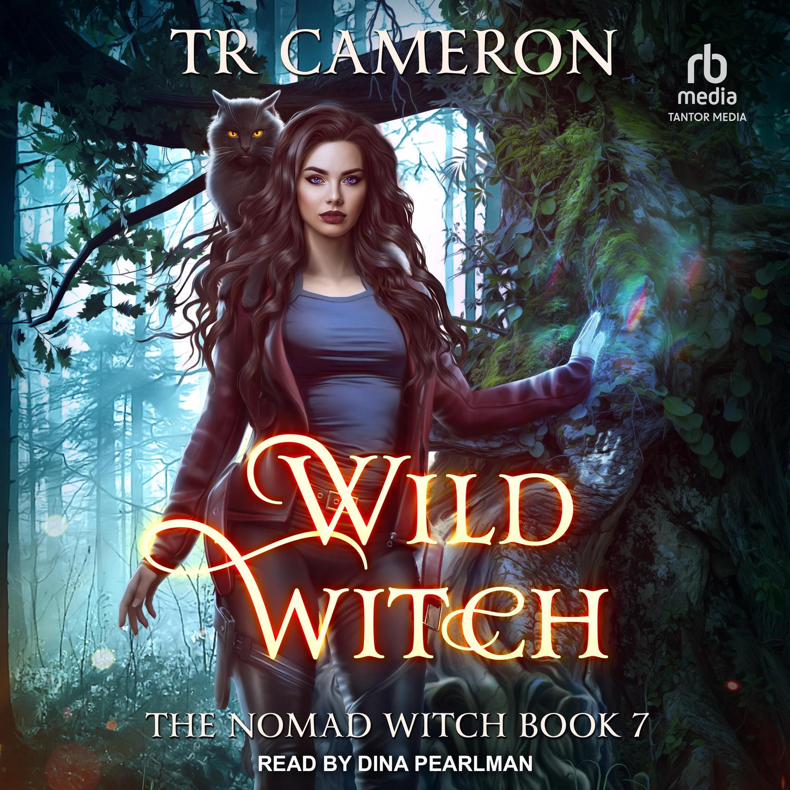 Wild Witch Audiobook, by Michael Anderle