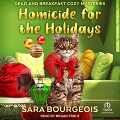 Homicide for the Holidays Audibook, by Sara Bourgeois