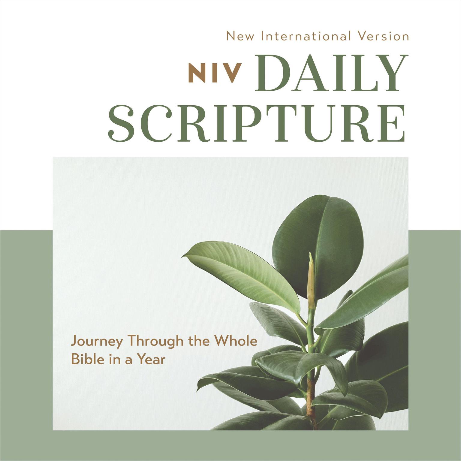 Daily Scripture Audio Bible---New International Version, NIV: Complete Bible: Journey Through the Whole Bible in a Year Audiobook, by Zondervan