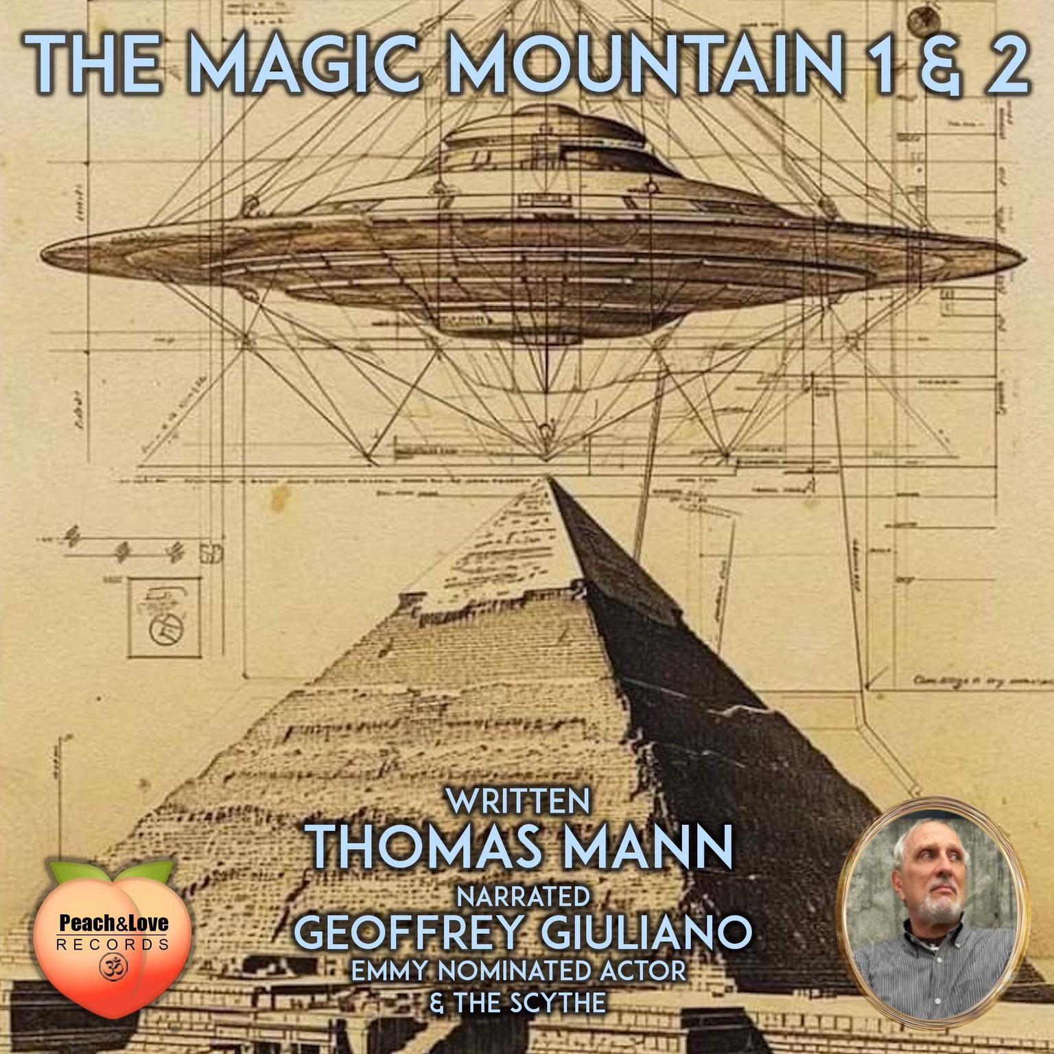 The Magic Mountain 1 & 2 Audiobook, by Thomas Mann