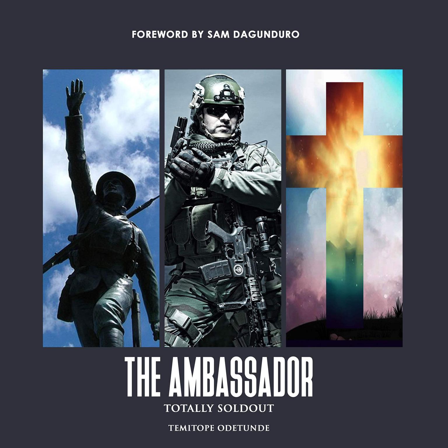 The Ambassador Audiobook, by Temitope Odetunde