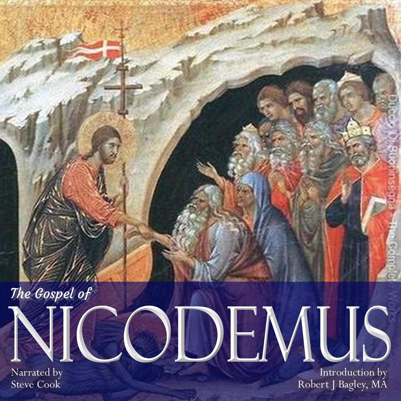 The Gospel of Nicodemus: Formerly Called The Acts of Pontius Pilate Audiobook, by Various 