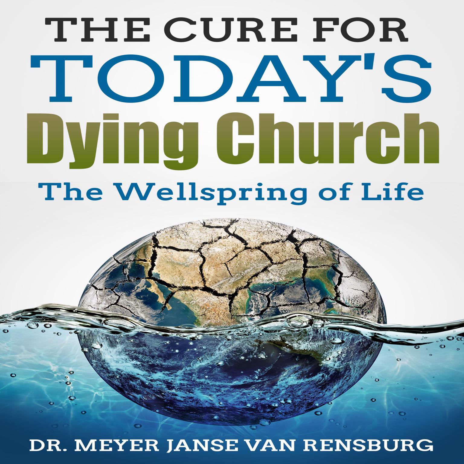 The Cure for Todays Dying Church: The Wellspring of Life Audiobook, by Meyer Janse Van Rensburg