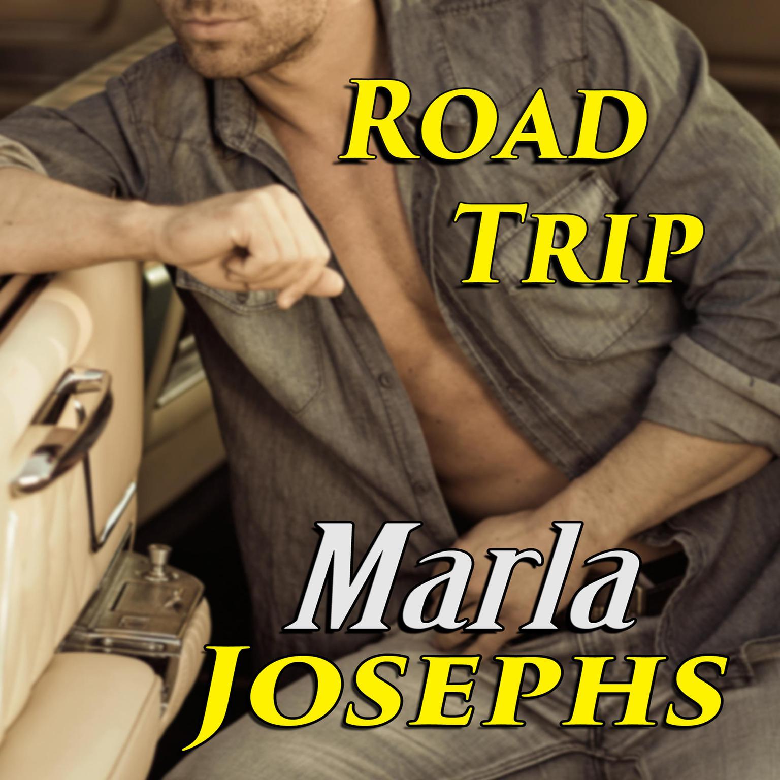 Road Trip: A Traveling Love Novella Audiobook, by Marla Josephs