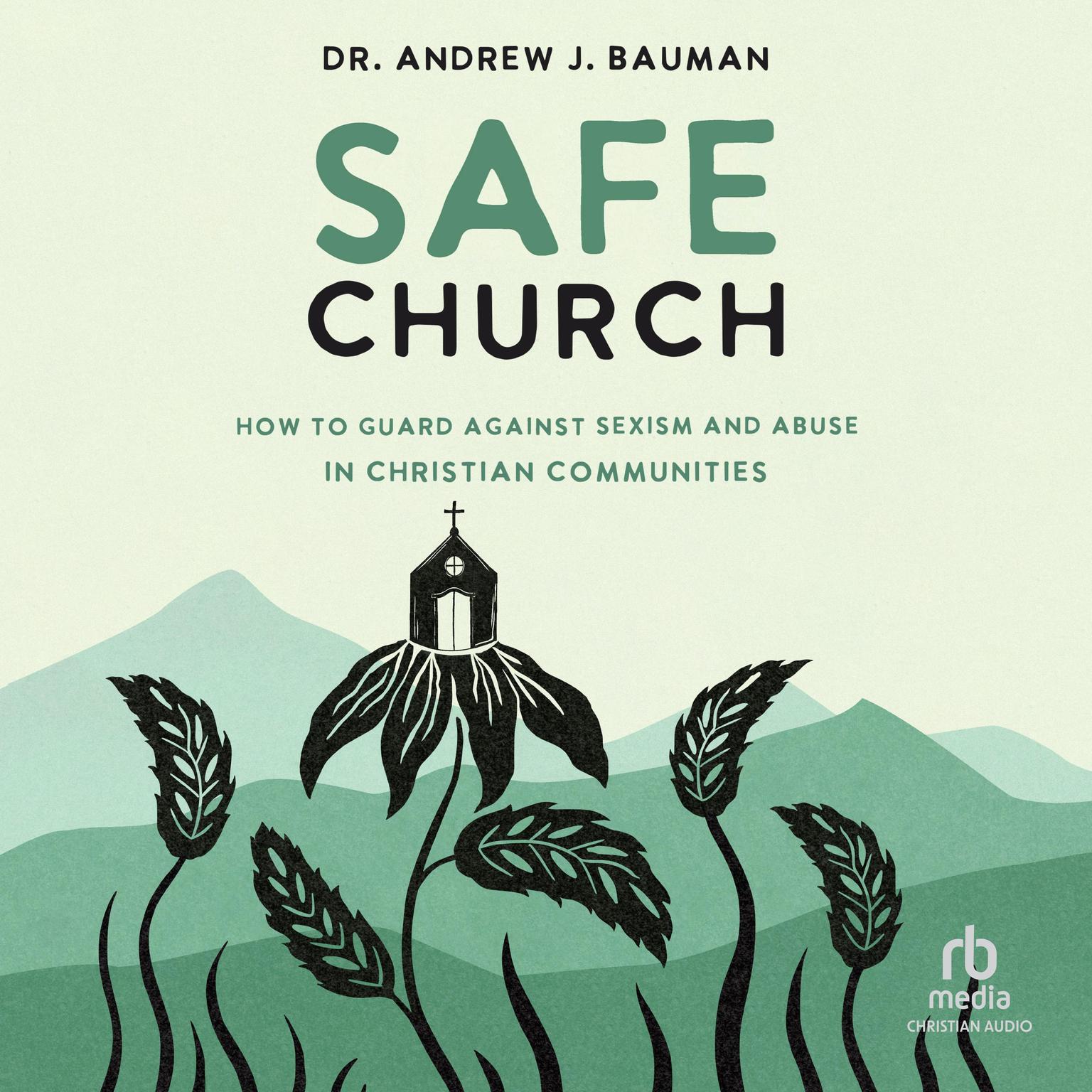 Safe Church: How to Guard against Sexism and Abuse in Christian Communities Audiobook, by Andrew J. Bauman