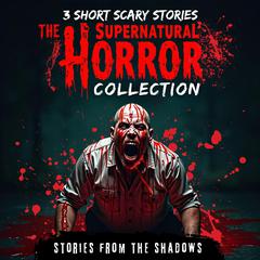 The Supernatural Horror Collection. 3 Short Scary Stories: Creepy Tales of Ghosts, Demons, Evil Spirits, and Paranormal Terror That Will Haunt Your Dreams Audibook, by Stories From The Shadows