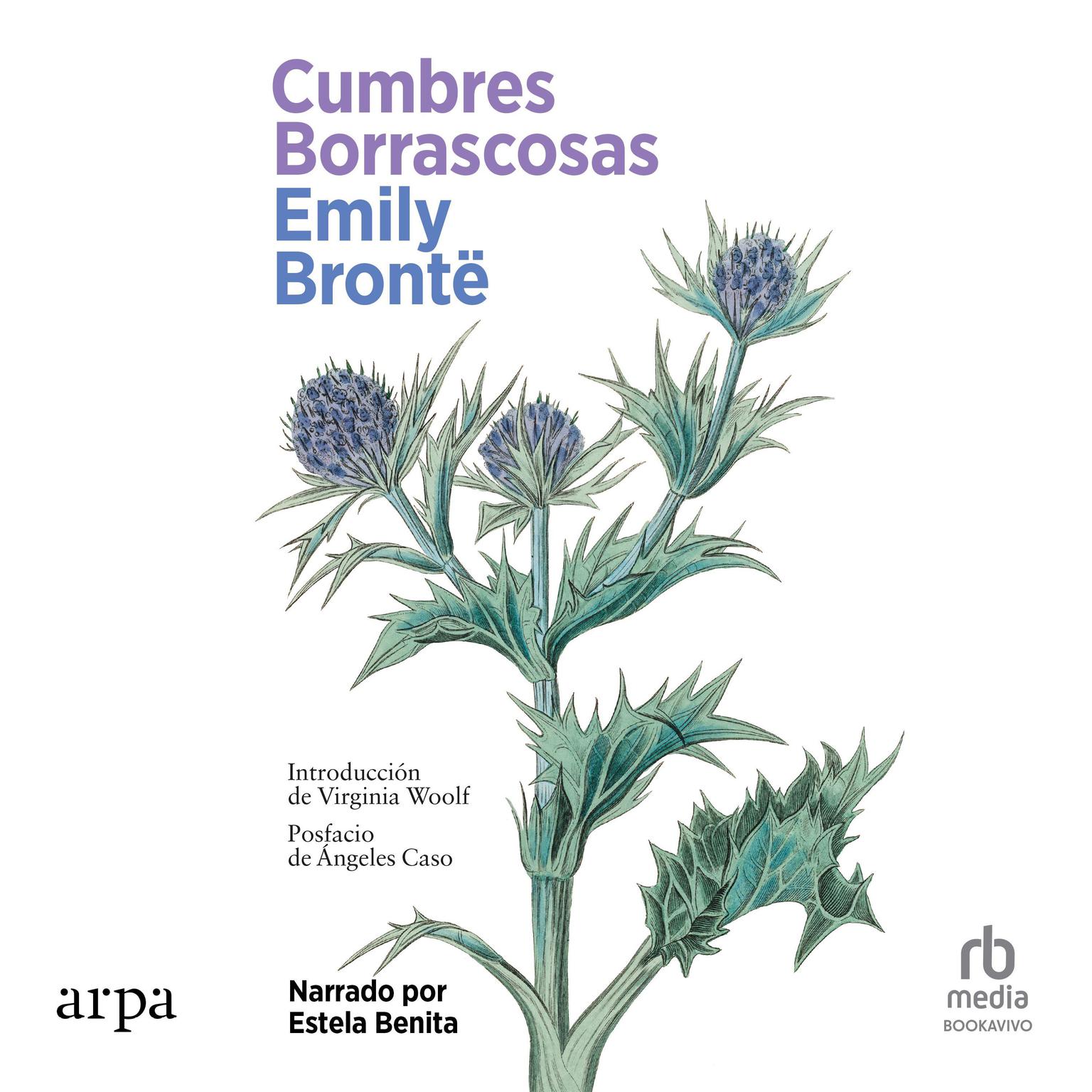 Cumbres Borrascosas Wuthering Heights Audiobook, by Emily Brontë