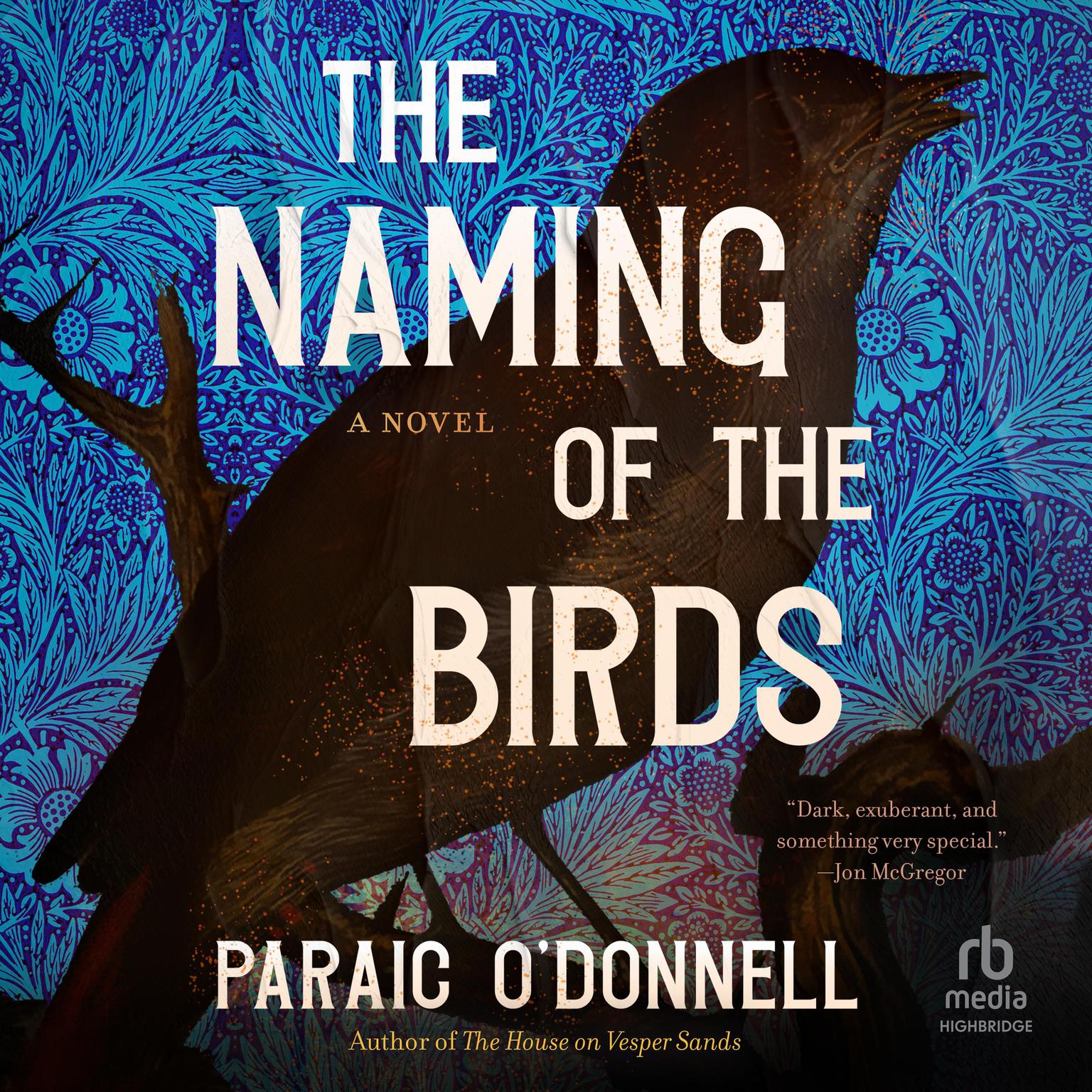 The Naming of the Birds Audiobook, by Paraic O'Donnell