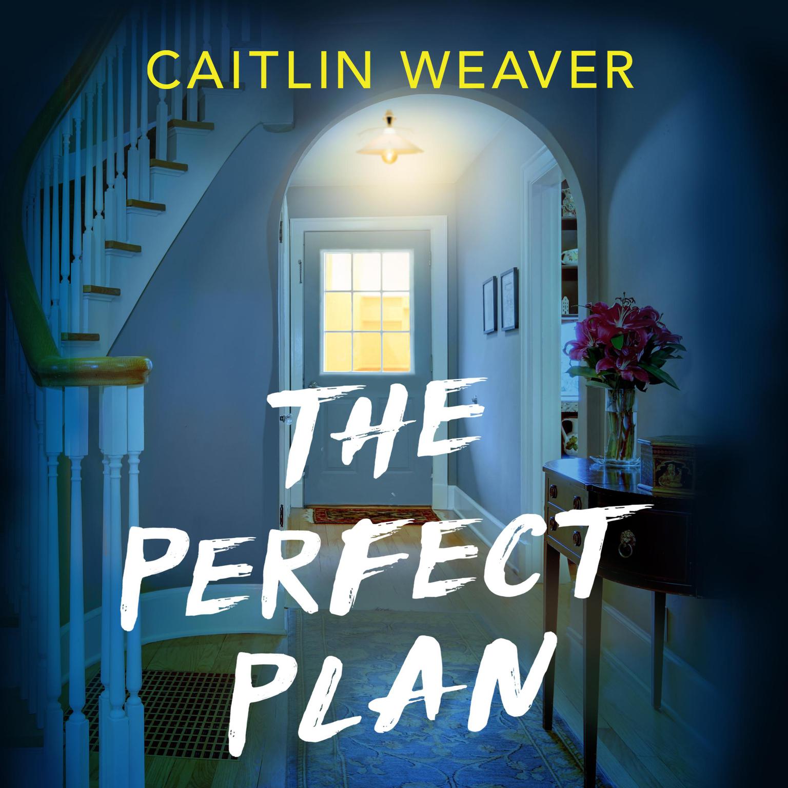 The Perfect Plan: A gripping, heart-wrenching story of marriage, motherhood and friendship Audiobook, by Caitlin Weaver