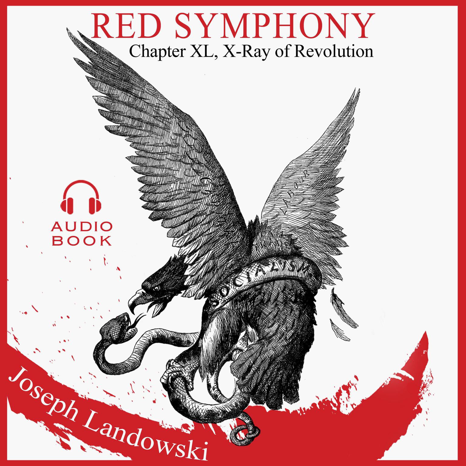 Red Symphony: Chapter 40 X-Ray of Revolution Audiobook, by Joseph Landowski