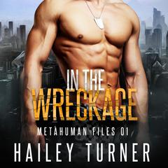 In the Wreckage Audibook, by Hailey Turner