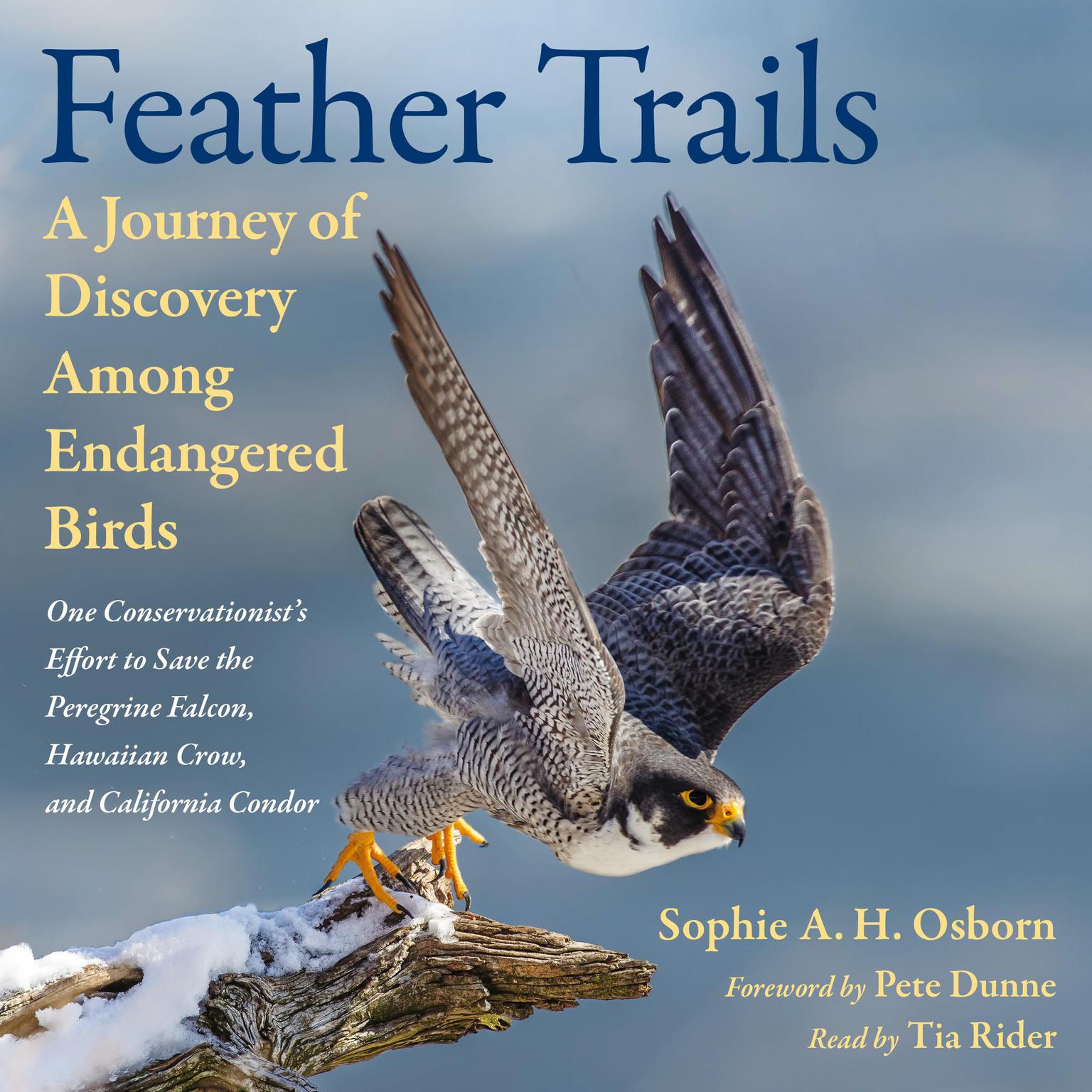 Feather Trails: A Journey of Discovery Among Endangered Birds Audiobook, by Sophie A. H. Osborn