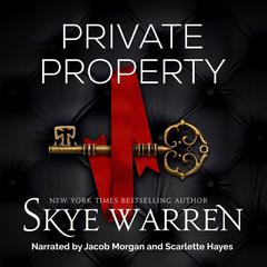 Private Property: A Billionaire and Nanny Romance Audibook, by Skye Warren