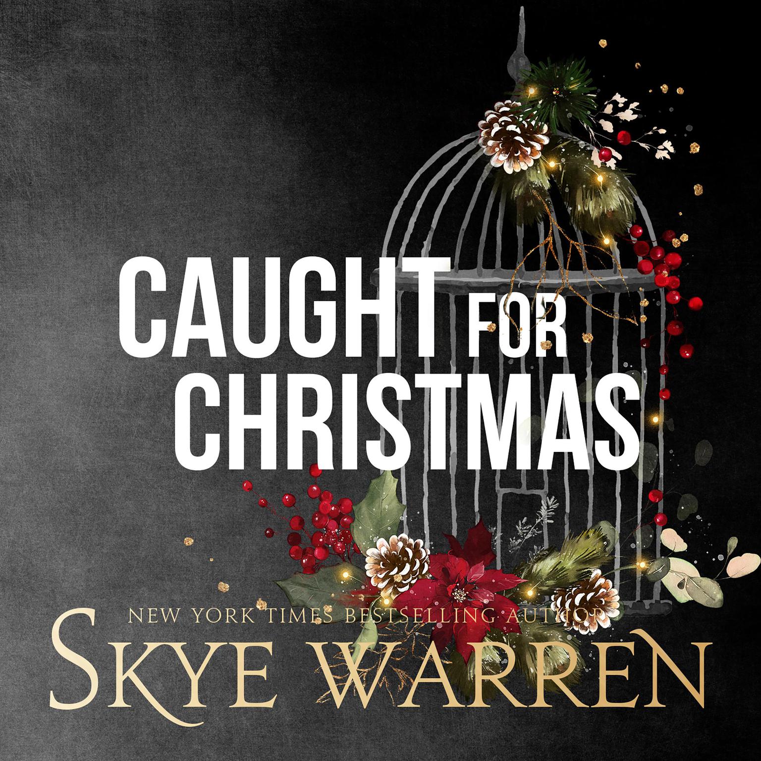 Caught for Christmas Audiobook, by Skye Warren