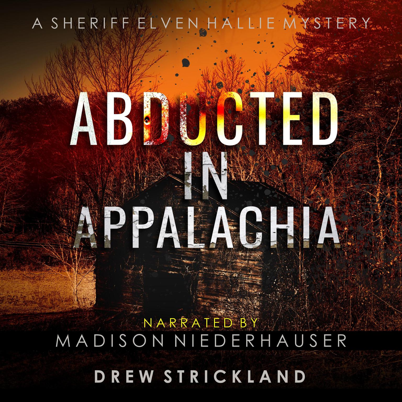 Abducted in Appalachia Audiobook, by Drew Strickland