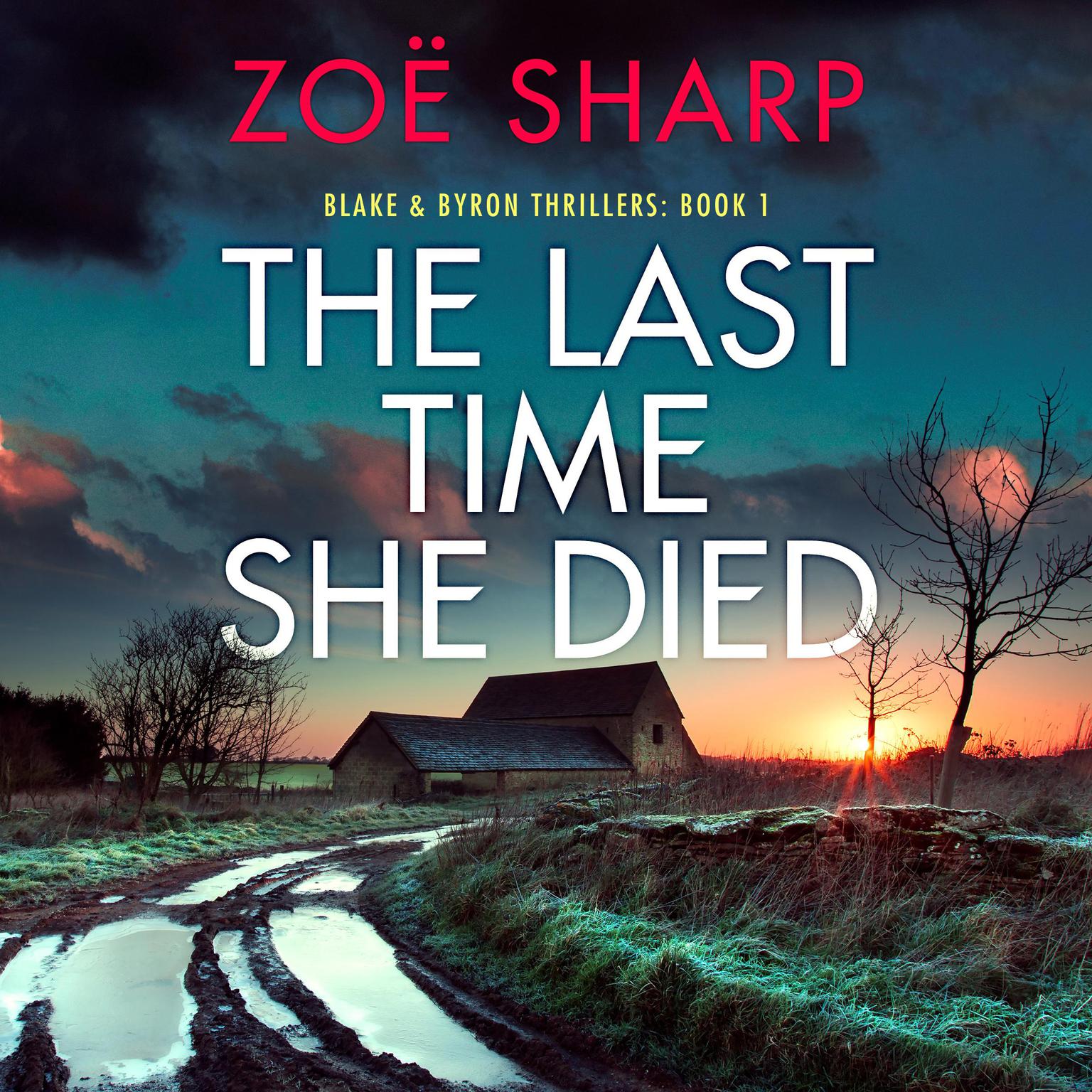 The Last Time She Died: A totally unputdownable crime thriller with a mind-blowing twist Audiobook, by Zoë Sharp