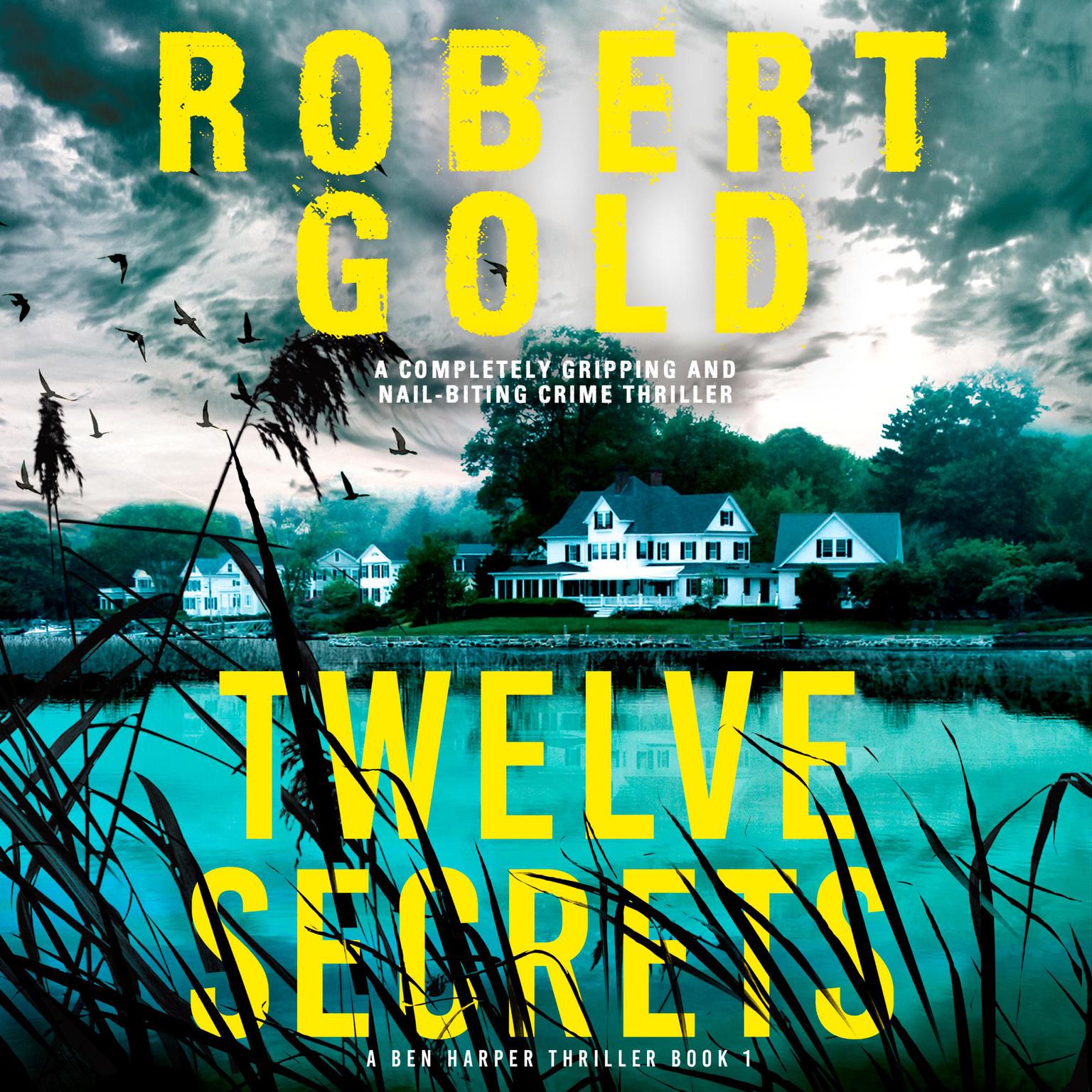 Twelve Secrets: A completely gripping and nail-biting crime thriller Audiobook, by Robert Gold