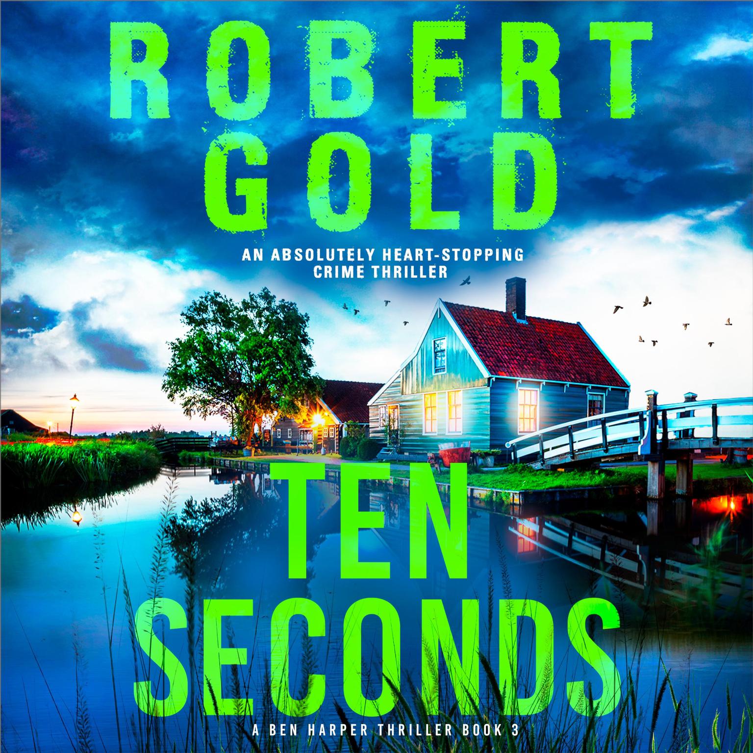 Ten Seconds: An absolutely heart-stopping crime thriller Audiobook, by Robert Gold