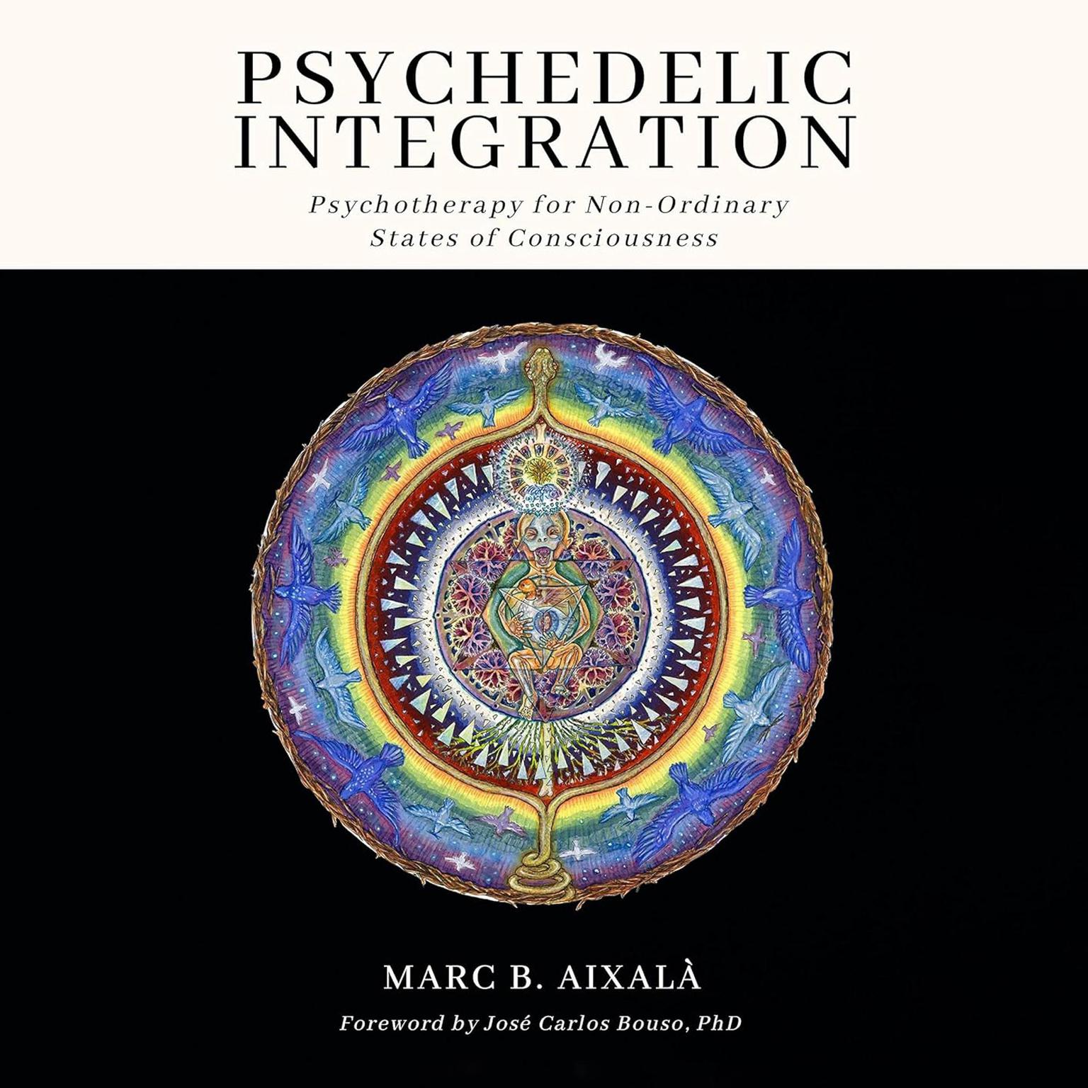 Psychedelic Integration: Psychotherapy for Non-Ordinary States of Consciousness Audiobook, by Marc Aixalà