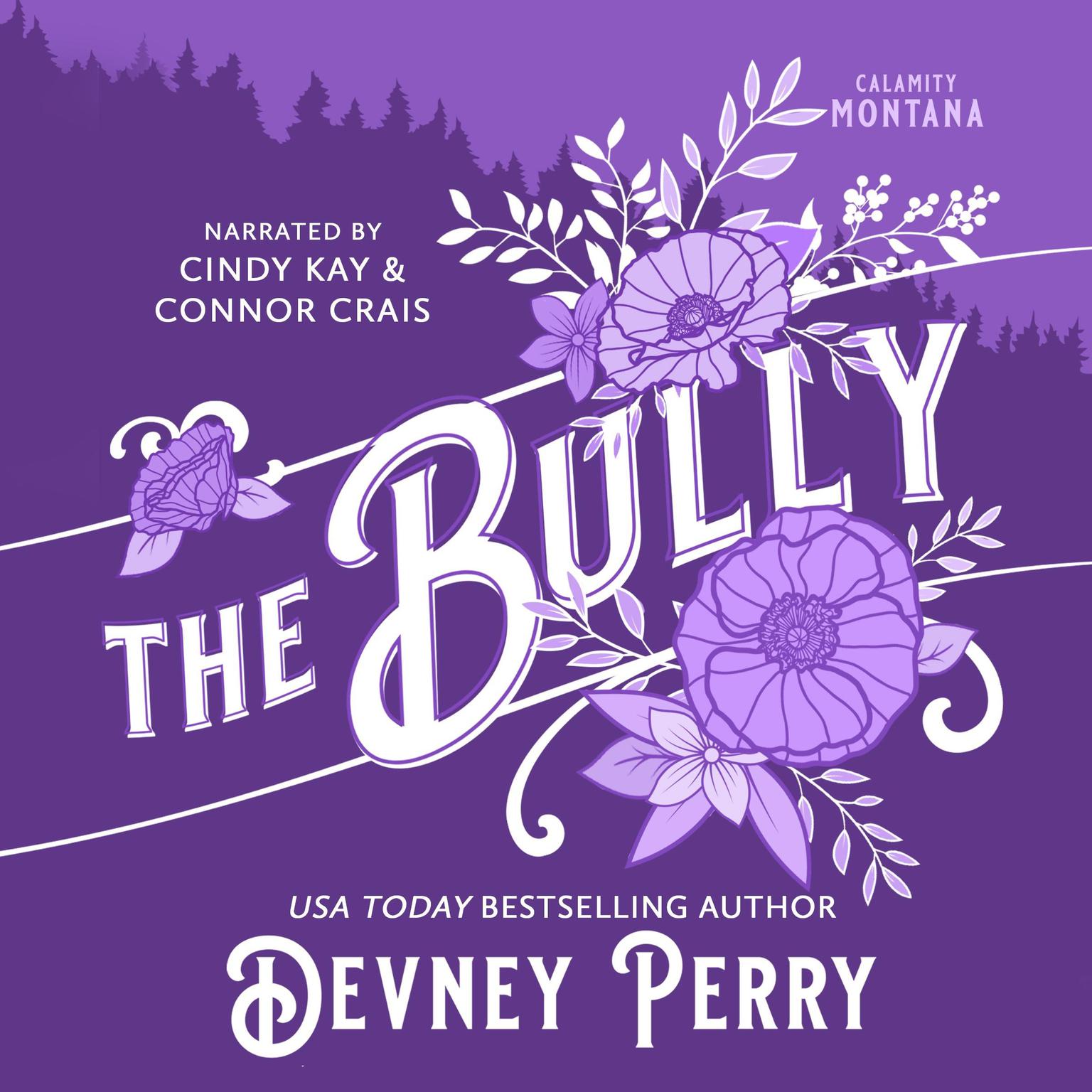 The Bully Audiobook, by Devney Perry