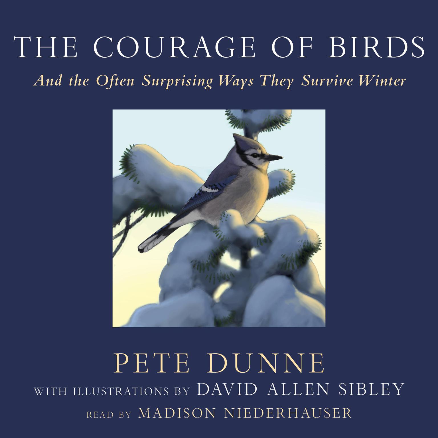 The Courage of Birds: And the Often Surprising Ways They Survive Winter Audiobook, by Pete Dunne