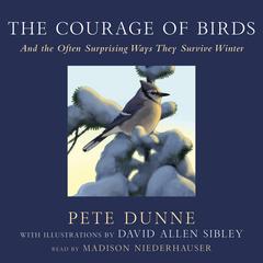 The Courage of Birds: And the Often Surprising Ways They Survive Winter Audibook, by Pete Dunne