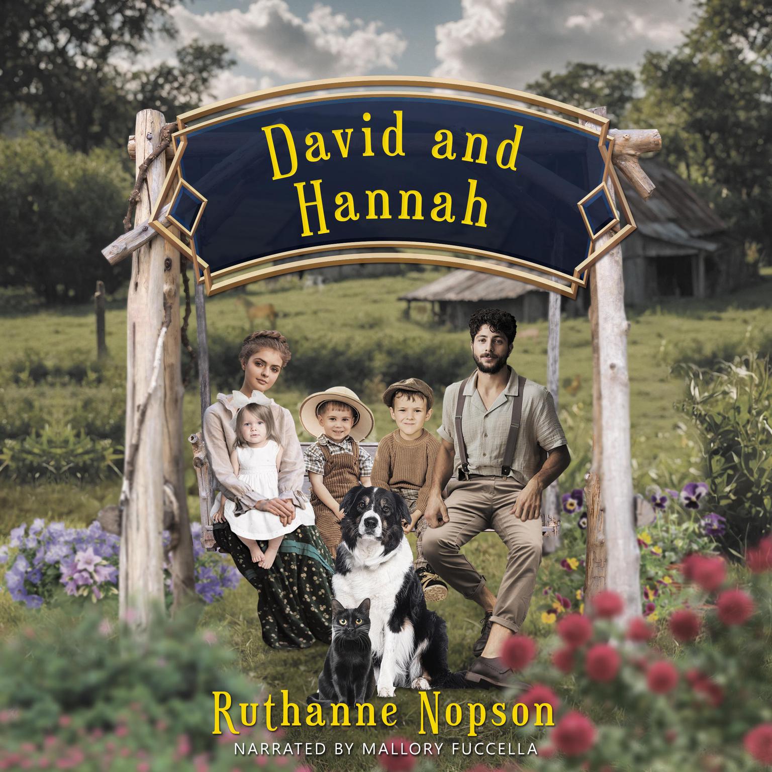 David and Hannah Audiobook, by Ruthanne Nopson